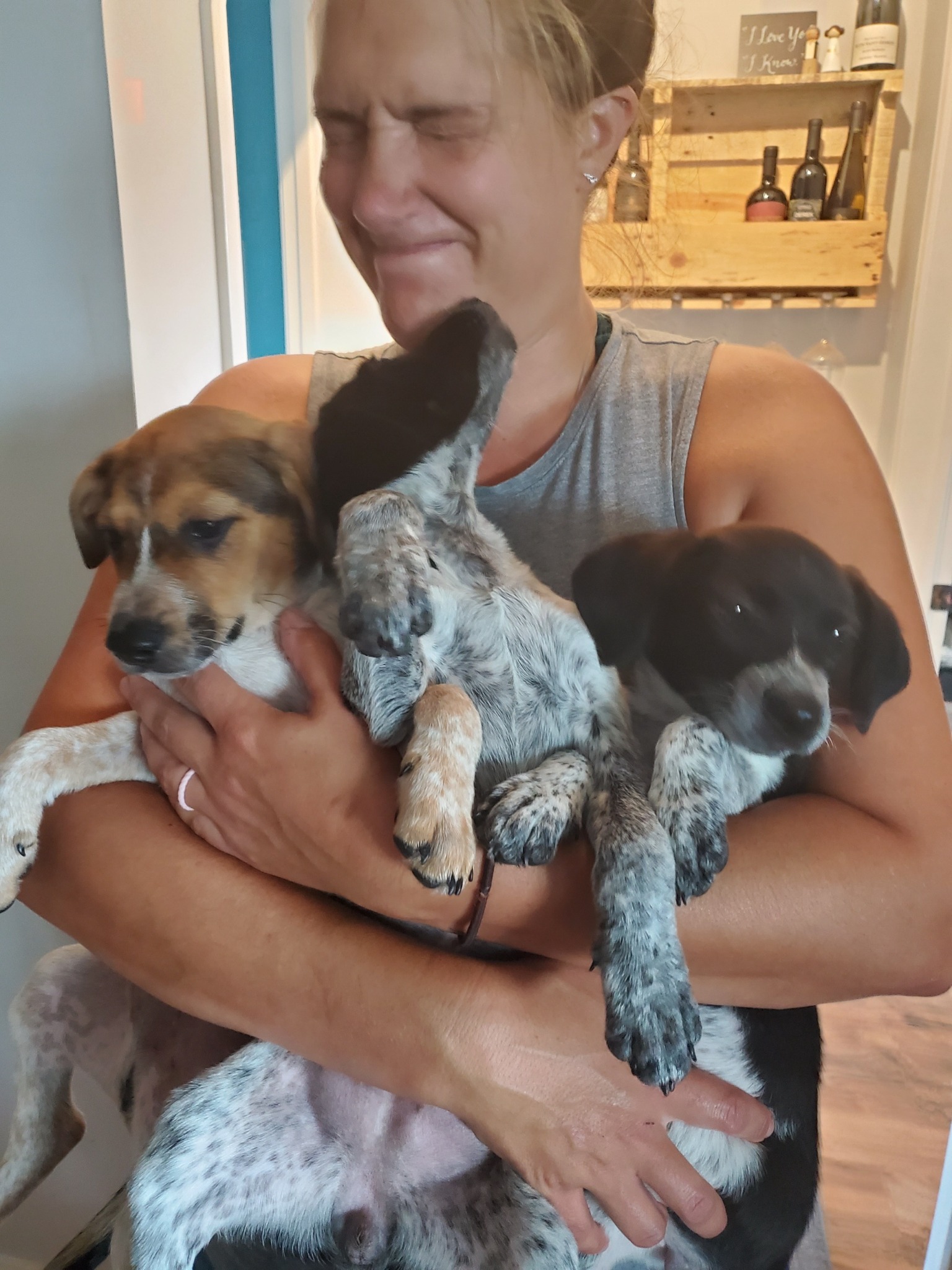 Volunteer holding rescued puppies